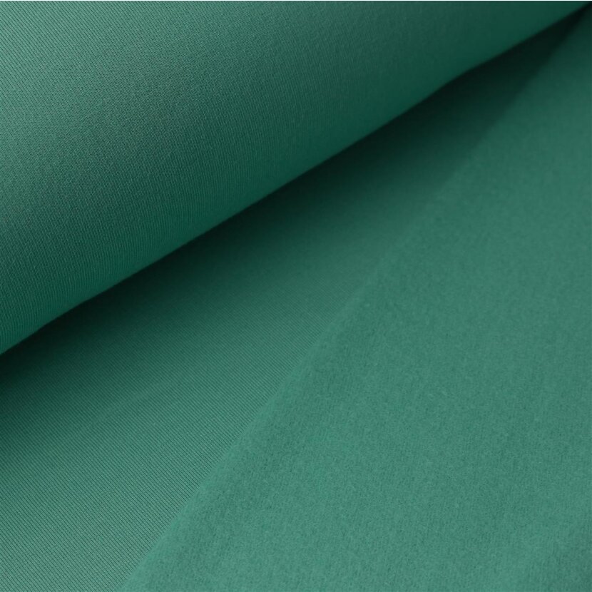French Terry Brushed Uni - Teal